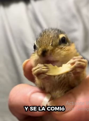 R2301011 Un nuevo comienzo lleno de amor (Parte 2)