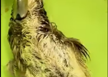 R2301001 De las sombras a la seguridad (Parte 2)