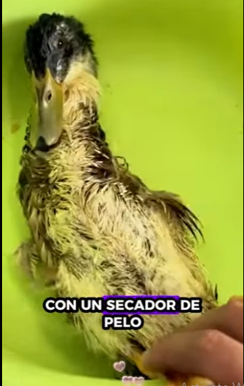 R2301001 De las sombras a la seguridad (Parte 2)