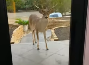 R2301010 Esto es lo que parece la esperanza (Parte 2)