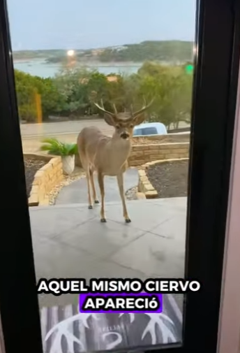 R2301010 Esto es lo que parece la esperanza (Parte 2)