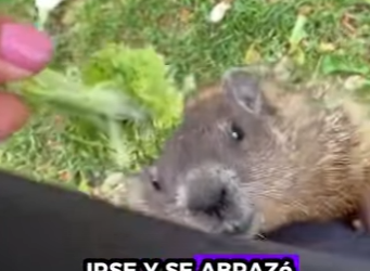 R2301006 Donde hay bondad, hay sanacion (Parte 2)