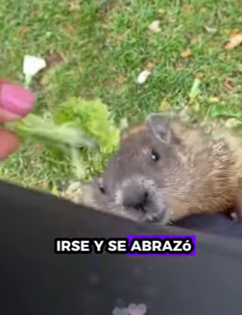 R2301006 Donde hay bondad, hay sanacion (Parte 2)