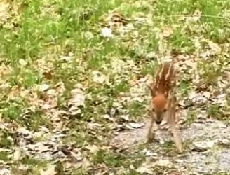 R2301008 A salvo esta noche gracias a alguien (Parte 2)