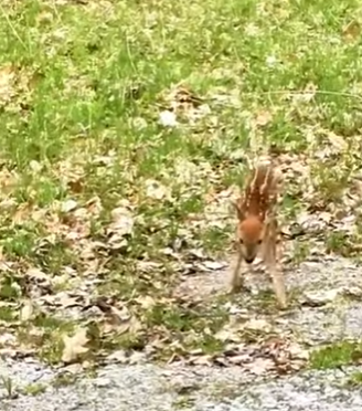 R2301008 A salvo esta noche gracias a alguien (Parte 2)