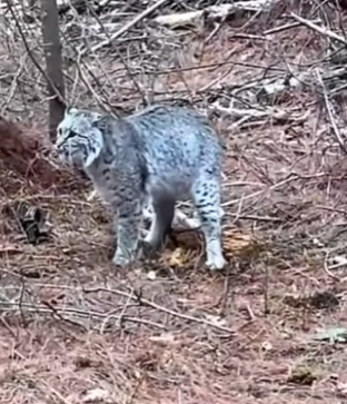 R2301013 Otro corazon salvado hoy (Parte 2)