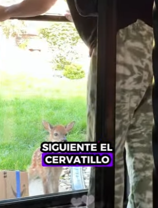 R2301002 De las sombras a la seguridad (Parte 2)