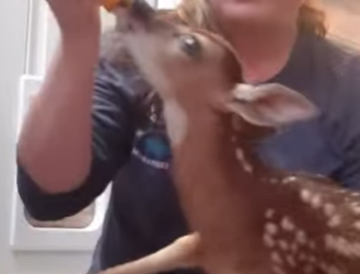 R2301004 La compasion convierte miedo en confianza (Parte 2)