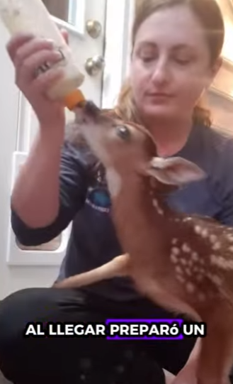 R2301004 La compasion convierte miedo en confianza (Parte 2)