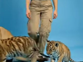 Y2201002 Tigre + Leona = Tigon (Parte 2)