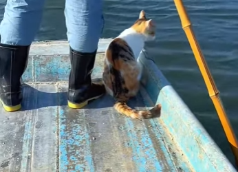 L2301012 Otra vida inocente salvada (Parte 2)