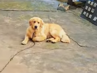 L2301013 Cuando llega la ayuda, llega la esperanza (Parte 2)