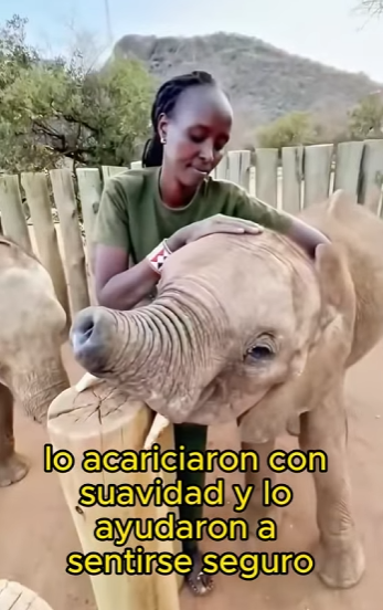 L2301011 Del dolor al cuidado y la paz (Parte 2)