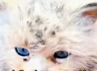 L2301009 Hoy la bondad hizo la diferencia (Parte 2)