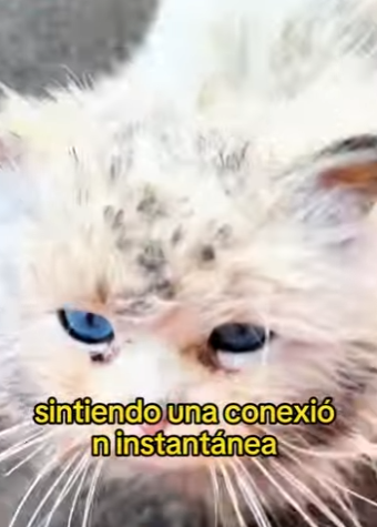 L2301009 Hoy la bondad hizo la diferencia (Parte 2)