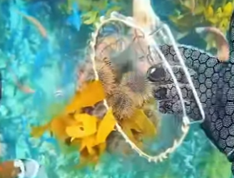 L2301003 La bondad puede salvar una vida (Parte 2)