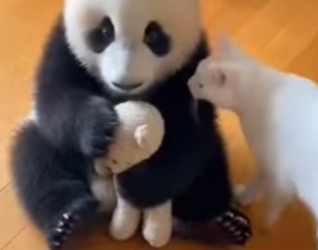 Esto fue lo mas hermoso que me pudo pasar (Parte 2)