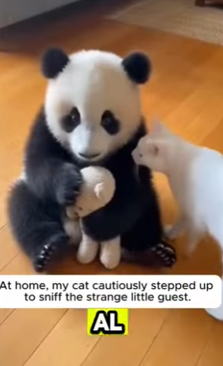 Esto fue lo mas hermoso que me pudo pasar (Parte 2)