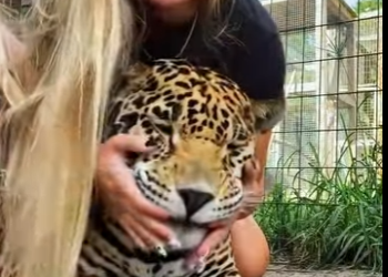 L2301002 Del miedo a la seguridad en un momento (Parte 2)