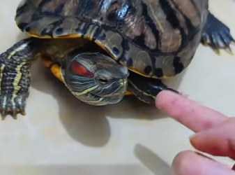 L2301010 Rescatar es amar en accion (Parte 2)