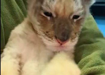 L2301006 La esperanza nace con compasion (Parte 2)