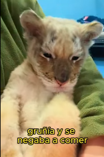 L2301006 La esperanza nace con compasion (Parte 2)