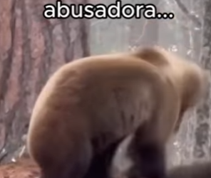 acampaba con mi familia cuando de repente paso estooo (Parte 2)