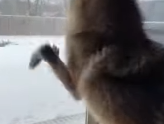 P2401004 Hope returns to the forest today (Part 2)