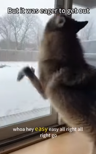 P2401004 Hope returns to the forest today (Part 2)