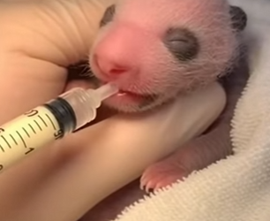 P2401010 Wild lives matter too (Part 2)