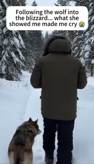 P2401001 Saving wildlife, one life at a time (Part 2)