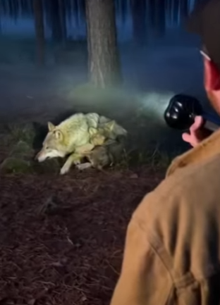 P2401005 Rescue is the first step to freedom (Part 2)