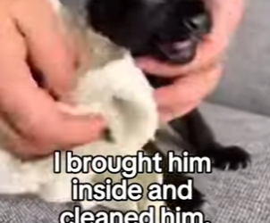 P2401011 Returning hope to the wilderness (Part 2)