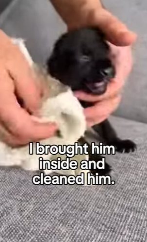 P2401011 Returning hope to the wilderness (Part 2)