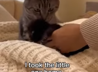 P2401012 Compassion has no borders (Part 2)