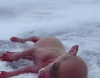 P2401009 From fear to freedom again (Part 2)