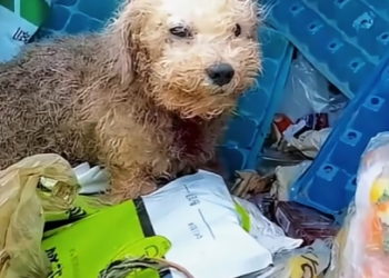 Where compassion leads, life follows (Part 2)