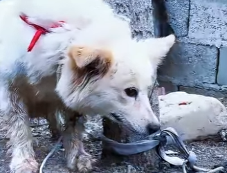 C2301002 Love writes better endings (Part 2)