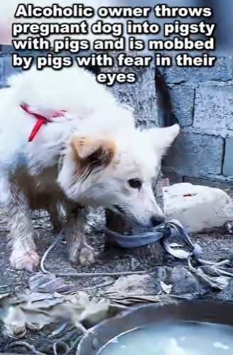 C2301002 Love writes better endings (Part 2)