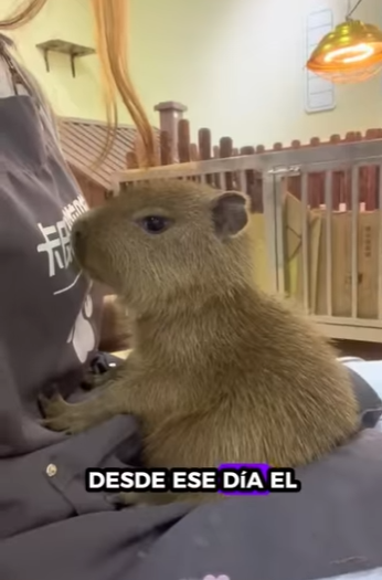 A2401004 El amor llego justo a tiempo (Parte 2)