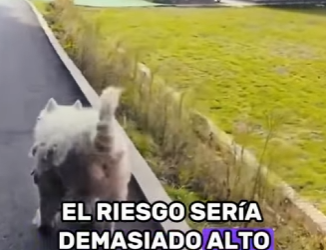 A2401009 Hoy la bondad hizo la diferencia (Parte 2)