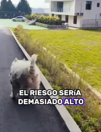 A2401009 Hoy la bondad hizo la diferencia (Parte 2)