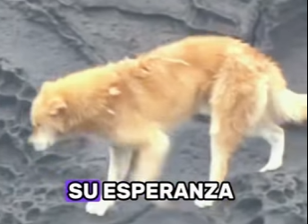 A2401010 Rescatar es amar en accion (Parte 2)