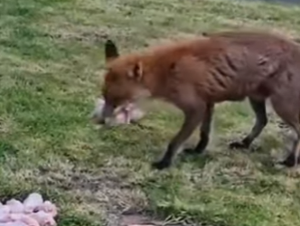 A2401006 La esperanza nace con compasion (Parte 2)