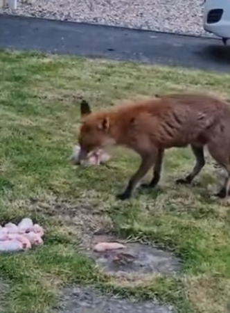 A2401006 La esperanza nace con compasion (Parte 2)