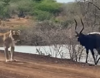 A2401008 Porque cada latido importa (Parte 2)