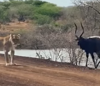 A2401008 Porque cada latido importa (Parte 2)