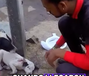 A2401013 Cuando llega la ayuda, llega la esperanza (Parte 2)