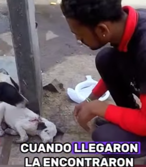 A2401013 Cuando llega la ayuda, llega la esperanza (Parte 2)