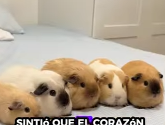 A2401001 Cada vida merece una segunda oportunidad (Parte 2)